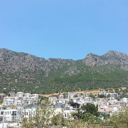 Sarica *